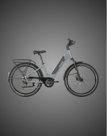 CycleDenis Master 2 - Gris...